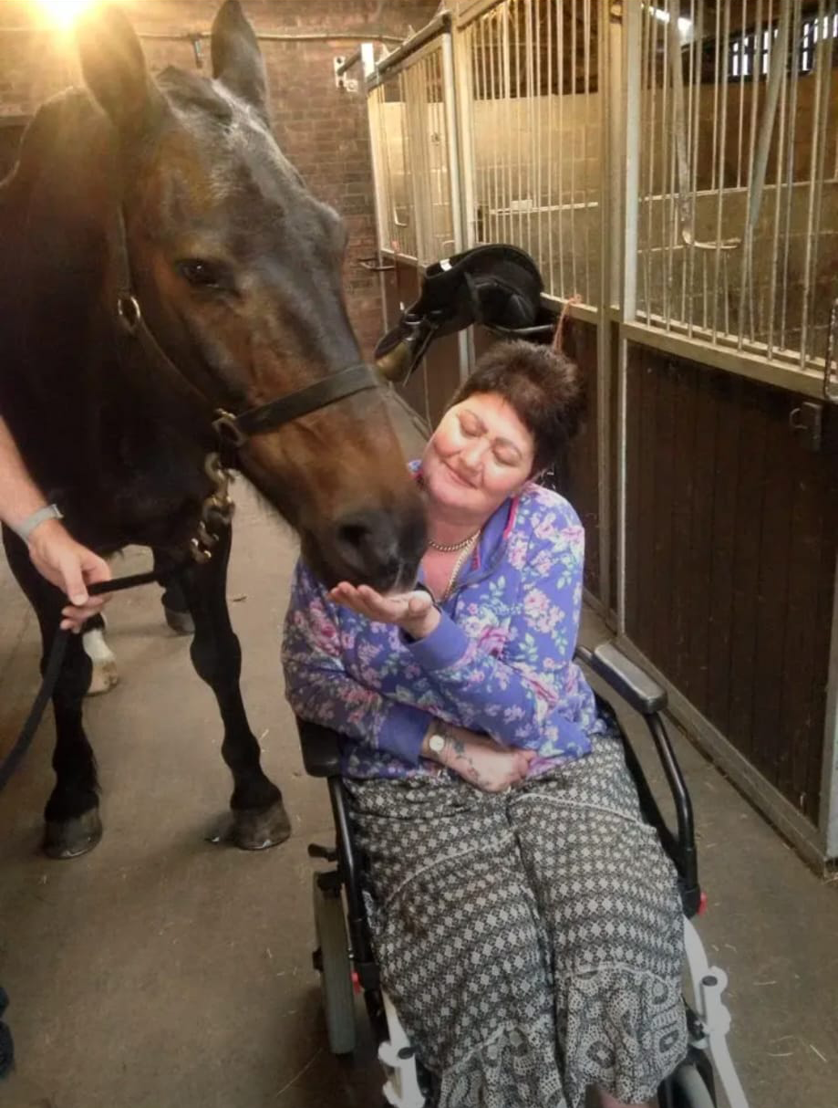 Horse Grooming and Care